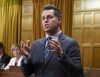 Peter Schiefke rises during Question Period in the House of Commons on Parliament Hill in Ottawa on Friday, May 4, 2018. Schiefke, chair of the House of Commons transport committee, is calling on Sunwing Airlines and Via Rail to publicly explain what caused the travel nightmare that plagued thousands of Canadians over the holidays. THE CANADIAN PRESS/Justin Tang