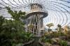 The main spire of the Leaf features a six story waterfall that feeds into a pond in the tropical biome. (Daniel Crump / Winnipeg Free Press files)