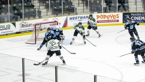 Portage Terriers photo
                                Portage defenceman Kian Calder (25) looks for an opening on the Winnipeg Blues net while forwards Matt Wisener (17) and Gavin Klaassen (20) wait for a pass or rebound.