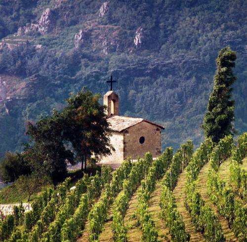 Take a journey to France for standout red wines