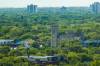 MIKAELA MACKENZIE / WINNIPEG FREE PRESS FILES
                                With Winnipeg&rsquo;s urban canopy under threat from a variety of diseases, pests and environmental factors, it&rsquo;s essential for city council to designate trees as essential infrastructure.