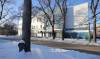 Families Minister Rochelle Squires has asked for an evaluation to review things such as the Link’s service delivery and financial accountability in response to staff complaints about management practices, racism, understaffing and financial decisions. (Ruth Bonneville / Winnipeg Free Press files)