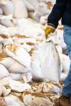 MIKAELA MACKENZIE / WINNIPEG FREE PRESS
                                Gilbert Pilotin loads free City of Winnipeg sand bags into his vehicles in preparation for possible spring flooding in Winnipeg.