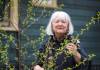 RUTH BONNEVILLE / WINNIPEG FREE PRESS FILES
                                Erna Buffie, a member of advocacy group Trees Please Winnipeg, said the public pledge would support decisive, prompt action on Winnipeg&rsquo;s upcoming municipal green space master plan and biodiversity policy.