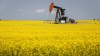 A pumpjack draws oil from the ground surrounded by a canola field near Cremona, Alta., on July 12, 2021.&nbsp;The agricultural industry is expressing concern that China will retaliate after Canada's expulsion of its diplomat by blocking agricultural shipments. China blocked canola shipments from two major Canadian companies in 2019 not long after Huawei executive Meng Wanzhou was arrested by Canadian authorities. The ban lasted for three years before being lifted in 2022. THE CANADIAN PRESS/Jeff McIntosh