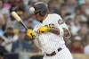 San Diego Padres' Manny Machado reacts after being hit by a pitch while batting during the second inning of a baseball game against the Kansas City Royals, Monday, May 15, 2023, in San Diego. San Diego Padres' Austin Nola scored from third on the play. (AP Photo/Gregory Bull)