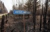A burnt road sign and trees damaged by recent wildfires are shown in Drayton Valley, Alta. on Wednesday May 17, 2023. Special air quality statements from Environment Canada continue to cover most of Alberta as smoky air blankets much of the province. THE CANADIAN PRESS/Jason Franson