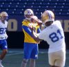 Mike Deal / Winnipeg Free Press Files
                                Winnipeg Blue Bombers veteran quarterback Zach Collaros (8) will not be taking part in the club&rsquo;s preseason finale against the visiting Saskatchewan Roughriders Friday night.