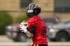 Nick Iwanyshyn / The Canadian Press files
                                Hamilton quarterback Bo Levi Mitchell didn&rsquo;t see any playing time during the Ticats preseason games.