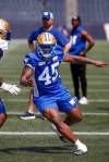 Mike Deal / Winnipeg Free Press
                                Celestin Haba made a key play when he sacked Hamilton QB Bo Levi Mitchell late in the Bombers&rsquo; season opening victory over the Ticats.