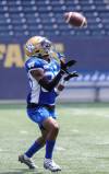 RUTH BONNEVILLE / WINNIPEG FREE PRESS
                                Blue Bombers&rsquo; Demerio Houston came up with his team-leading third interception of the season in the third quarter of a tight contest against the Calgary Stampeders on Friday.