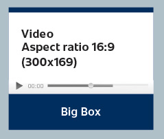 Free Press in-stream video big box ad specifications.