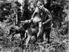 CP PICTURE ARCHIVE / NATIONAL ARCHIVES OF CANADA
                                Archibald Stansfeld Belaney, also known as Grey Owl is seen in an undated photo. Belaney is one of Canada's most infamous and earliest &ldquo;pretendians.&rdquo;
