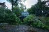 MIKE THIESSEN / WINNIPEG FREE PRESS
                                Several cars in the East Kildonan area were hit by falling trees following a major thunderstorm early Thursday evening.