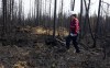 Climate change has made summers like the kind that led to Quebec's disastrous wildfire season at least seven times more likely to happen again, says a new scientific analysis. Society of Protection of Forests from Fire prevention agent Melanie Morin walks through an area of burned forest in the area surrounding Lebel-sur-Quevillon, Que., on Wednesday, July 5, 2023. THE CANADIAN PRESS/Adrian Wyld