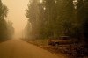 Downed power lines are seen on a pickup truck in an area burned by the Lower East Adams Lake wildfire, in Scotch Creek, B.C., on Sunday, August 20, 2023. Firefighters in British Columbia's southern Interior continue to battle a number of major blazes, having been aided by ample rainfall that fell yesterday over the Okanagan and Shuswap regions.THE CANADIAN PRESS/Darryl Dyck