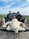 SUPPLIED Ian Van Nest and Chantal Maclean, Manitoba conservation officers, with captured polar bear in Churchill earlier this month.