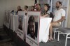 Relatives of U.S. citizens that are missing since Saturday's surprise attack by Hamas militants near the Gaza border, in Tel Aviv, Israel attend a news conference on Tuesday, Oct. 10, 2023 in Tel Aviv, Israel. Seated from left: Jonathan Dekel-Chen, father of Sagui Dekel-Chen (35) from Nahal Oz; Ruby Chen, father of Itay Chen, 19, a soldier in the armored corps; Ayala Neta, daughter, and Nahal Neta, son of Adrienne Neta, 66, a nurse living in Kibbitz Be'eri; Rachel Goldberg, mother of Hersh Goldberg-Polin, 23, who was attending the music festival, and Jonathan Polin, Hersh's father. (AP Photo/Maya Alleruzzo)