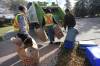 Emterra collection crews pick up yard waste on Selwyn Place in Fort Richmond, Sunday, October 14, 2012. (TREVOR HAGAN/WINNIPEG FREE PRESS)