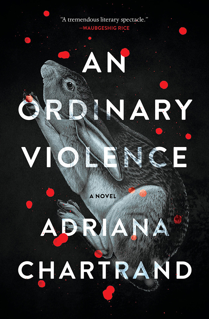 An Ordinary Violence, by Adriana Chartrand