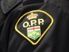 Ontario Provincial Police say 14 alleged members of an organized gang are facing dozens of charges after 126 people from across Canada lost nearly $1 million in total in a so-called 