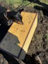 Barb and Donald Lair&rsquo;s beloved Doberman, Tres, was buried after his sudden death, while the couple&rsquo;s other Doberman, Billy Jean looks at the coffin. (Submitted)
