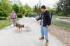 MIKE DEAL / FREE PRESS
Dean Weiss (left) with his dog, Tootie, who meets Dou Dou, who is with Yidan Zhu, while at the Bonnycastle Dog Park Tuesday.