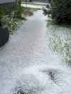 ALEXANDER PANKIW PHOTO
- hail in Silver Heights
May 16, 2024
