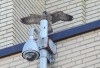 A peregrine falcon chick named Hugo spreads his wings perched on top of a camera at the Université de Montréal tower in Montreal, Tuesday, June 25, 2024. THE CANADIAN PRESS/Christinne Muschi