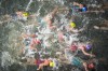 Australia's Natalie Van Coevorden, center, competes in the swim leg of the women's individual triathlon competition at the 2024 Summer Olympics, Wednesday, July 31, 2024, in Paris, France. (AP Photo/David Goldman)