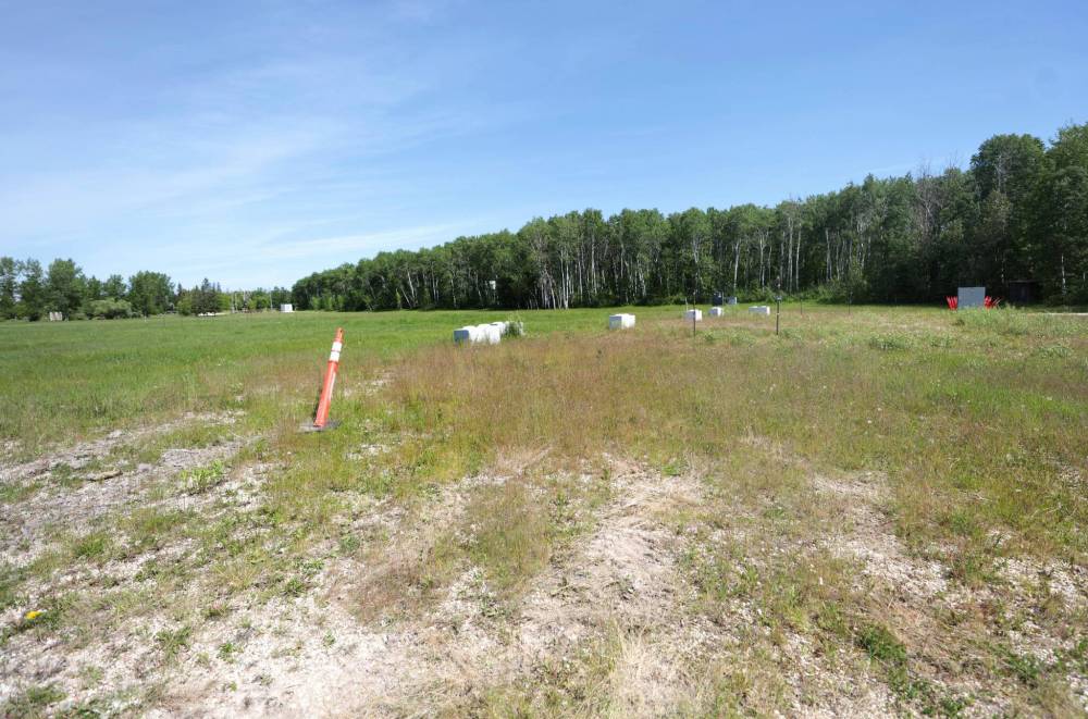 It doesn‘t look like much now, but the mainstage will be erected on this patch of overgrown land. (Ruth Bonneville / Free Press)