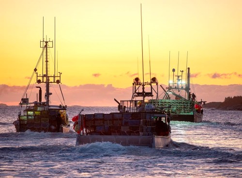 Fishing boats, loaded with traps, head from port as the lobster season on Nova Scotia's South Shore begins, in West Dover, N.S., on Nov. 26, 2019. THE CANADIAN PRESS/Andrew Vaughan
