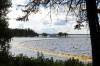 TIM SMITH / THE BRANDON SUN FILES
                                About four weeks ago, a gap formed in the curtain that is intended to contain zebra mussels.
