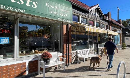 Brent Bellamy
                                A walkable neighbourhood is important.