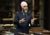 NDP Leader Jagmeet Singh rises in the House of Commons to speak about a Conservative motion, Tuesday, Sept.24, 2024 in Ottawa. Singh says it's 