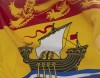 A former provincial cabinet minister has been named as interim leader of the Progressive Conservatives in New Brunswick.New Brunswick's provincial flag flies in Ottawa, Friday July 3, 2020. THE CANADIAN PRESS/Adrian Wyld