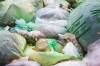The city is launching food waste depots to encourage composting and divert scraps from landfills ahead of a citywide program set for 2030. (Mikaela MacKenzie / Winnipeg Free Press)