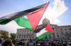 MIKE SUDOMA / FREE PRESS
                                Palestinian flags fly as hundreds of pro-Palestinian protesters rally at the legislature.