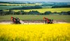 Statistics Canada says wholesale sales excluding petroleum, petroleum products, and other hydrocarbons and excluding oilseed and grain rose 0.8 per cent to $82.3 billion in September. Pumpjacks draw out oil and gas from wellheads surrounded by canola fields near Cremona, Alta., Monday, July 15, 2024. THE CANADIAN PRESS/Jeff McIntosh