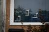 JESSICA LEE / FREE PRESS FILES
                                Bullet holes are visible in the window of Salah Falah Hasan&rsquo;s Houde Drive home where he was shot and killed in July, 2022.