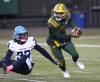 Larry Wong / THE CANADIAN PRESS files
                                The future of quarterback Tre Ford is one of the most intriguing storylines of the CFL off-season.