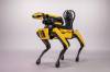BOSTON DYNAMICS
                                Boston Dynamics&rsquo; robotic dog named Spot.