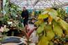 MIKE DEAL / FREE PRESS FILES
                                Dave Hanson, owner of Sage Garden Greenhouses, said they&rsquo;ve delivered about 100 orders at this point, incurring extra costs.