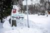 MIKAELA MACKENZIE / FREE PRESS
                                Hennessey Drive, also known as Polar Bear Lane, where trees had to be taken down after being damaged while snow clearing.