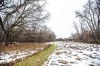 MIKAELA MACKENZIE / WINNIPEG FREE PRESS

The forest near Lemay Avenue on Monday, Nov. 6, 2023. The 22 acres of land is slated to be developed.
Winnipeg Free Press 2023.