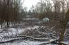 MIKE DEAL / FREE PRESS 
                                Some area residents have fought to preserve the trees in the forest amid concerns about protecting potential unmarked graves of Métis children and others in a former Catholic orphanage that used to stand on the site.