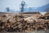 Softwood lumber is pictured at Tolko Industries in Heffley Creek, B.C., Sunday, April, 1, 2018. THE CANADIAN PRESS/Jonathan Hayward