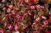 Canadian pins are displayed on a table during launch celebrations for the 60th Anniversary of the National Flag of Canada Day, Friday, Feb. 14, 2025 in Ottawa.  THE CANADIAN PRESS/Adrian Wyld