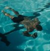 SUPPLIED PHOTO
                                Brady Oliveira says hypoxic training is one of the hardest things he&rsquo;s ever done.