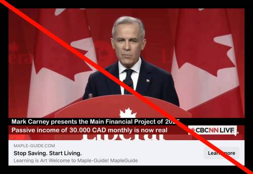 An AI deepfake video (Facebook)